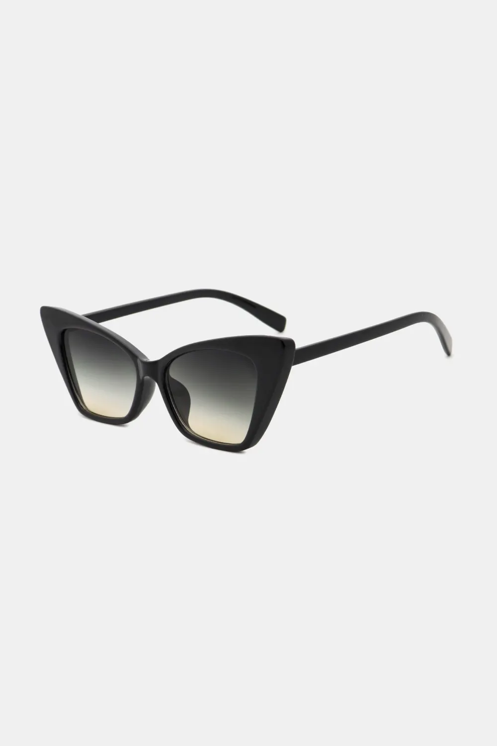 Acetate Lens Cat Eye Sunglasses 2