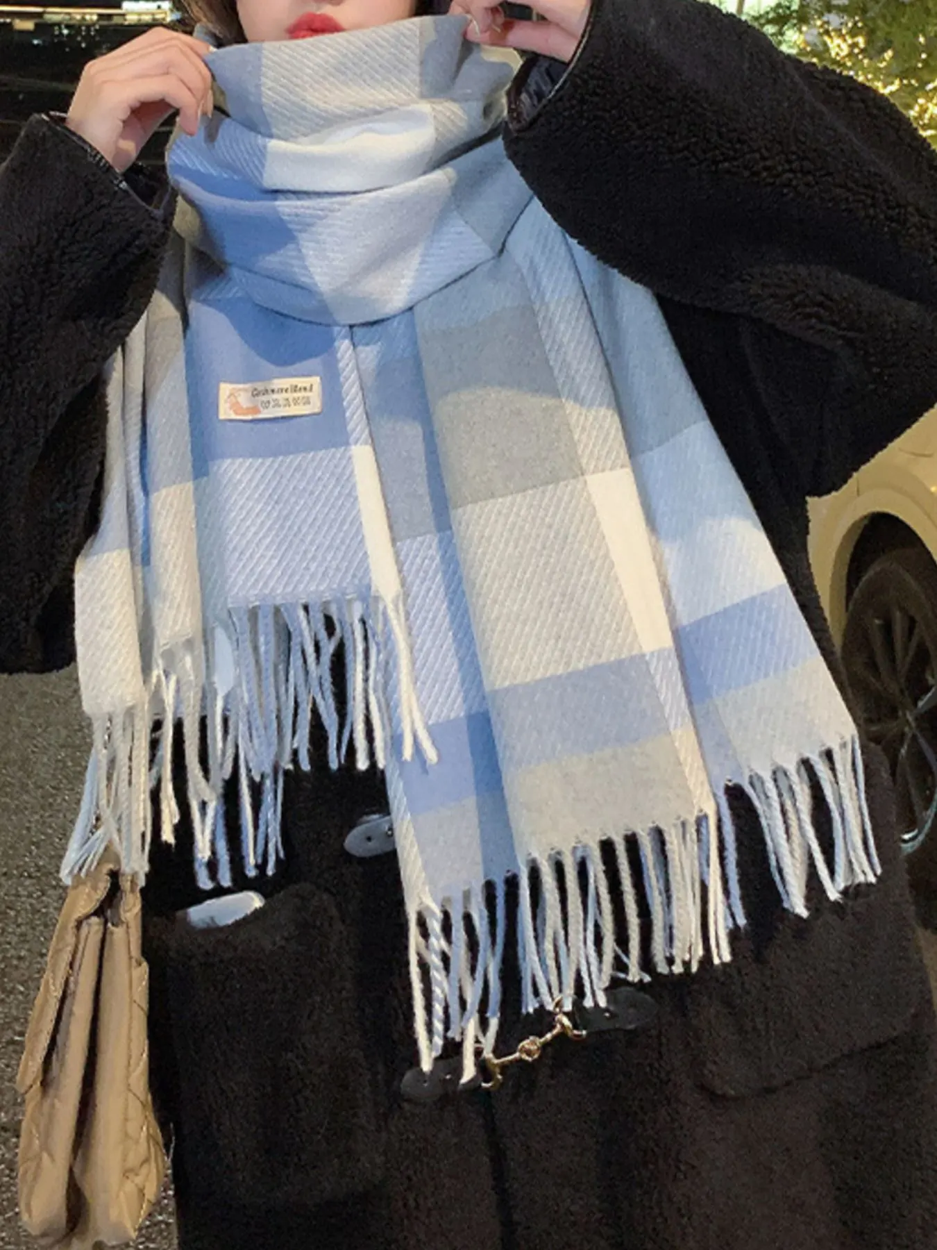 Fringe Plaid Scarf 3
