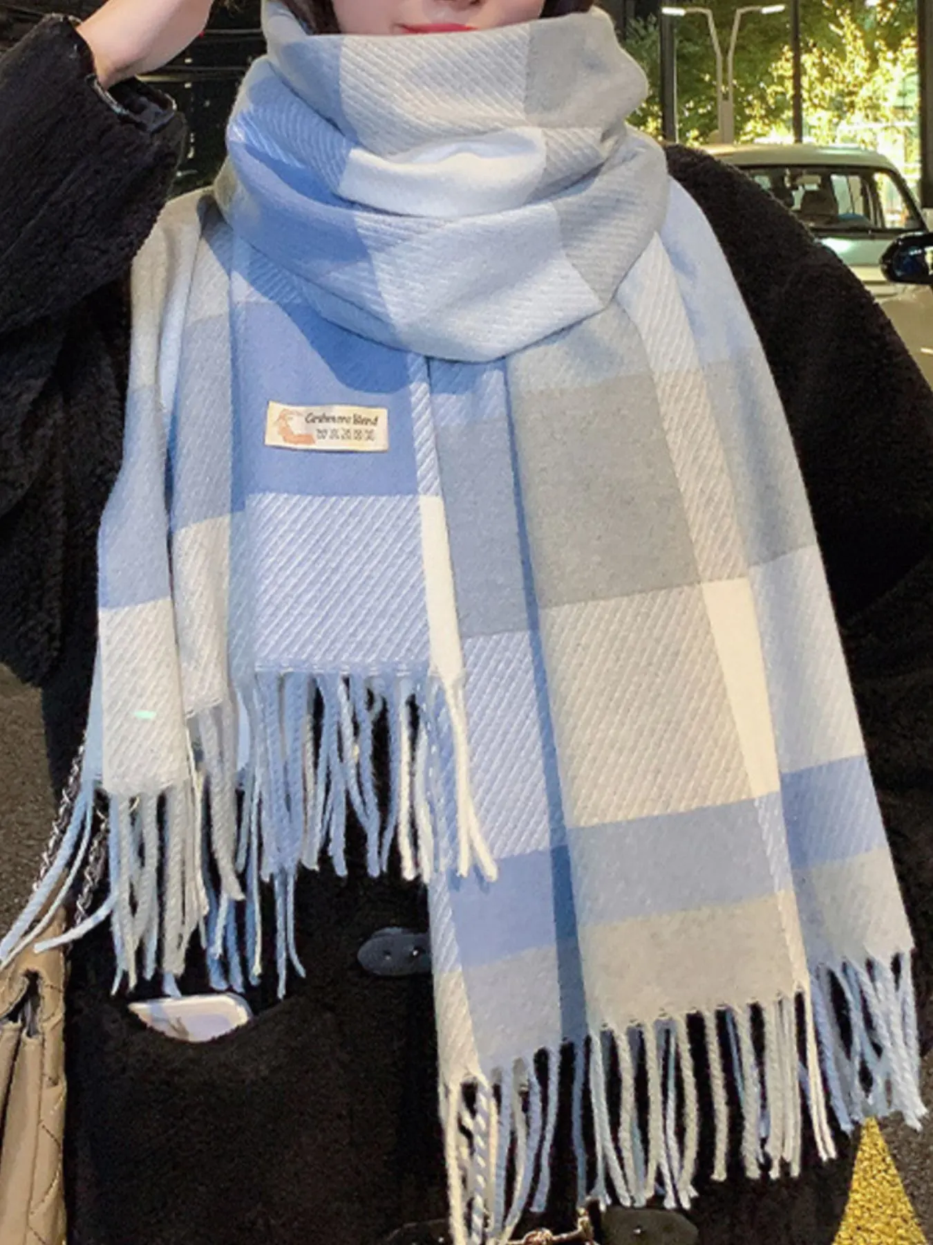 Fringe Plaid Scarf 2
